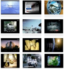 杭州風林文化傳媒 專業媒體推廣，賦能品牌新聲量